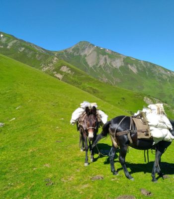 Ardèche mules - semelles au vent6